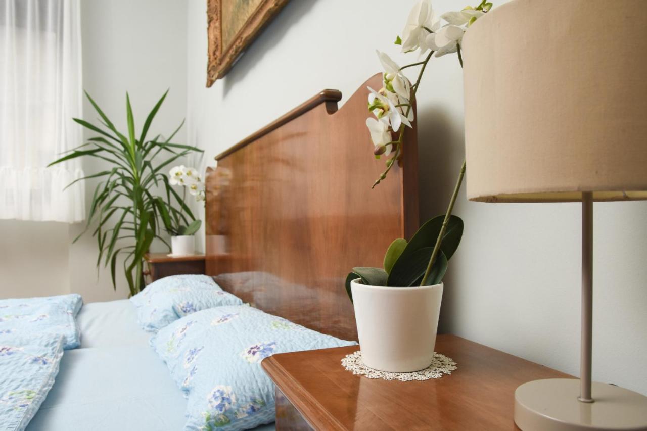 Apartman Woolf Senta Exterior foto